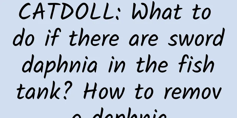 CATDOLL: What to do if there are sword daphnia in the fish tank? How to remove daphnia
