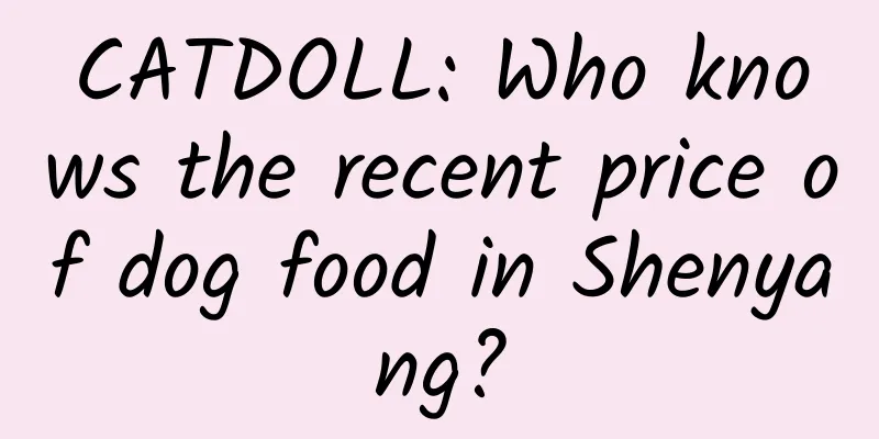 CATDOLL: Who knows the recent price of dog food in Shenyang?
