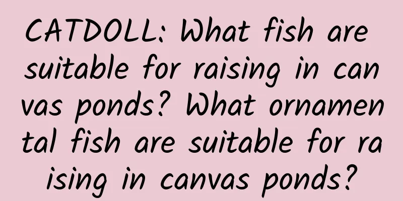 CATDOLL: What fish are suitable for raising in canvas ponds? What ornamental fish are suitable for raising in canvas ponds?