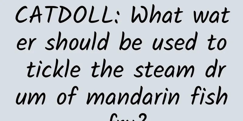 CATDOLL: What water should be used to tickle the steam drum of mandarin fish fry?