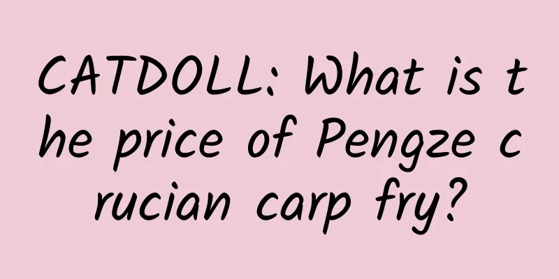 CATDOLL: What is the price of Pengze crucian carp fry?