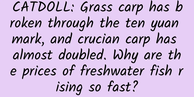 CATDOLL: Grass carp has broken through the ten yuan mark, and crucian carp has almost doubled. Why are the prices of freshwater fish rising so fast?