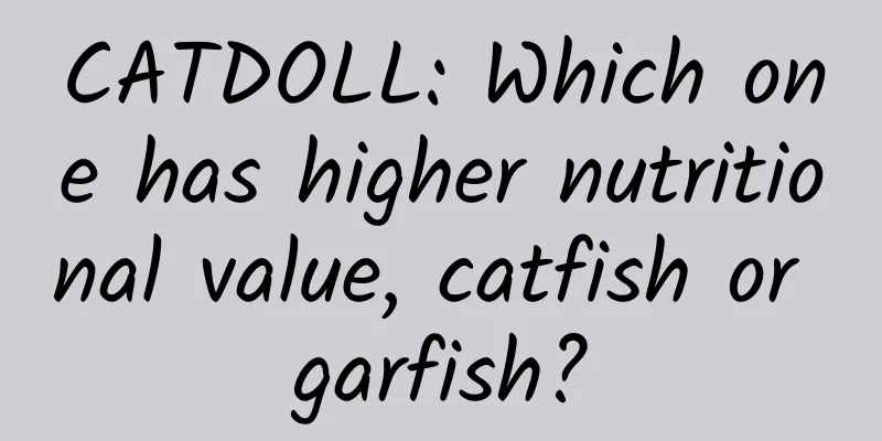 CATDOLL: Which one has higher nutritional value, catfish or garfish?