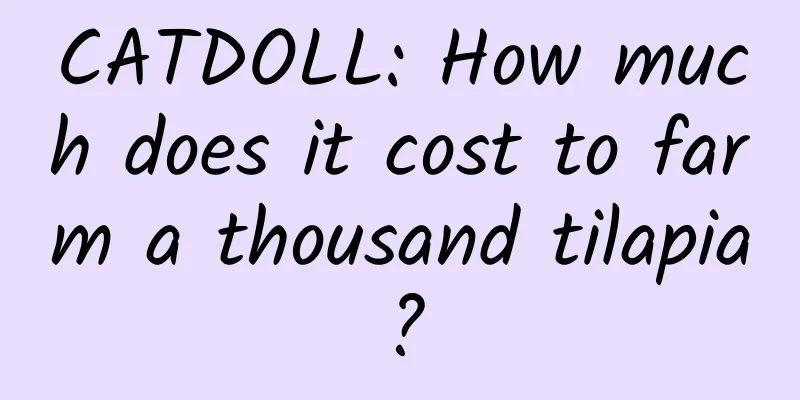 CATDOLL: How much does it cost to farm a thousand tilapia?