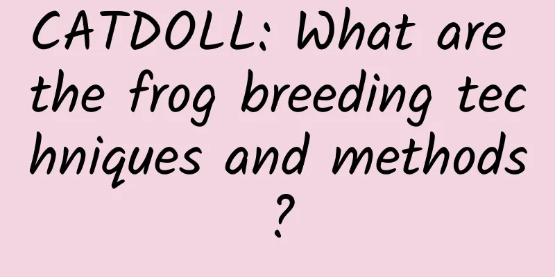 CATDOLL: What are the frog breeding techniques and methods?