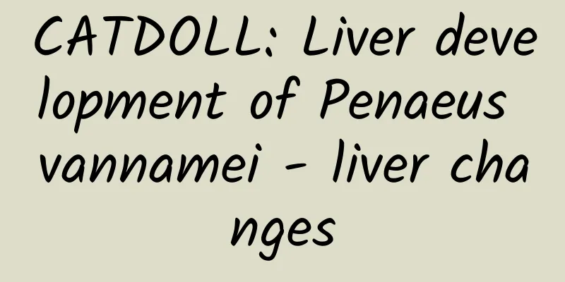 CATDOLL: Liver development of Penaeus vannamei - liver changes