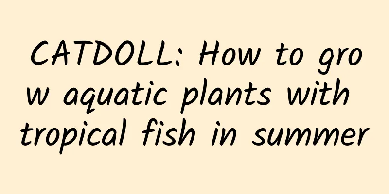 CATDOLL: How to grow aquatic plants with tropical fish in summer