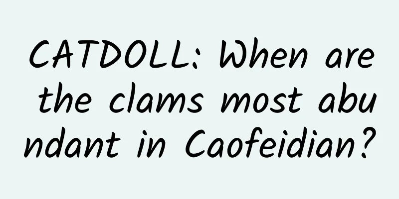 CATDOLL: When are the clams most abundant in Caofeidian?