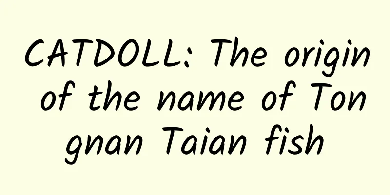 CATDOLL: The origin of the name of Tongnan Taian fish