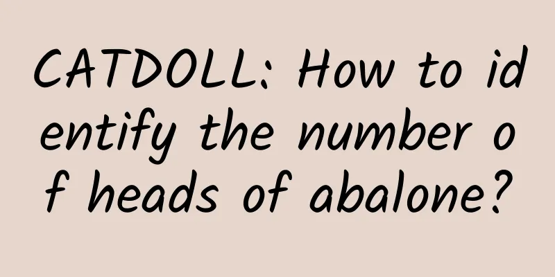 CATDOLL: How to identify the number of heads of abalone?