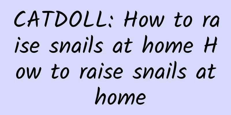 CATDOLL: How to raise snails at home How to raise snails at home