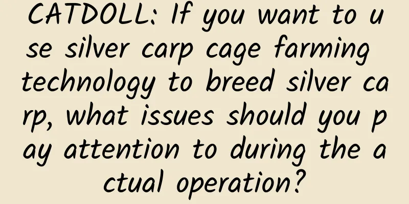 CATDOLL: If you want to use silver carp cage farming technology to breed silver carp, what issues should you pay attention to during the actual operation?