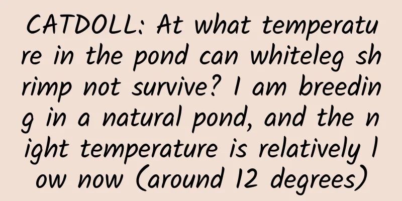 CATDOLL: At what temperature in the pond can whiteleg shrimp not survive? I am breeding in a natural pond, and the night temperature is relatively low now (around 12 degrees)