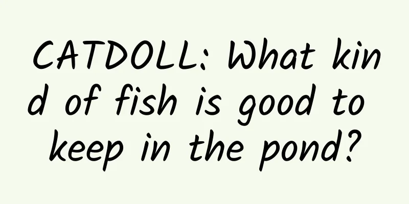 CATDOLL: What kind of fish is good to keep in the pond?