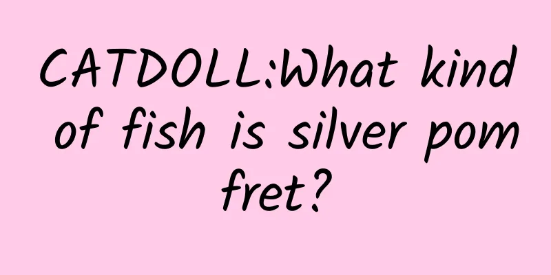 CATDOLL:What kind of fish is silver pomfret?