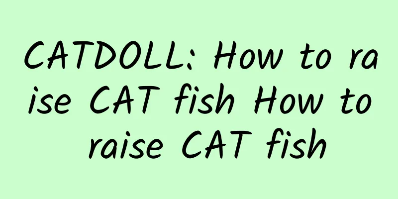 CATDOLL: How to raise CAT fish How to raise CAT fish