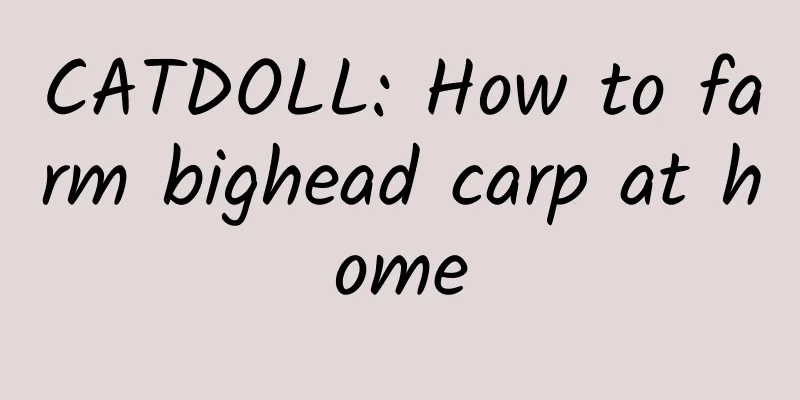 CATDOLL: How to farm bighead carp at home