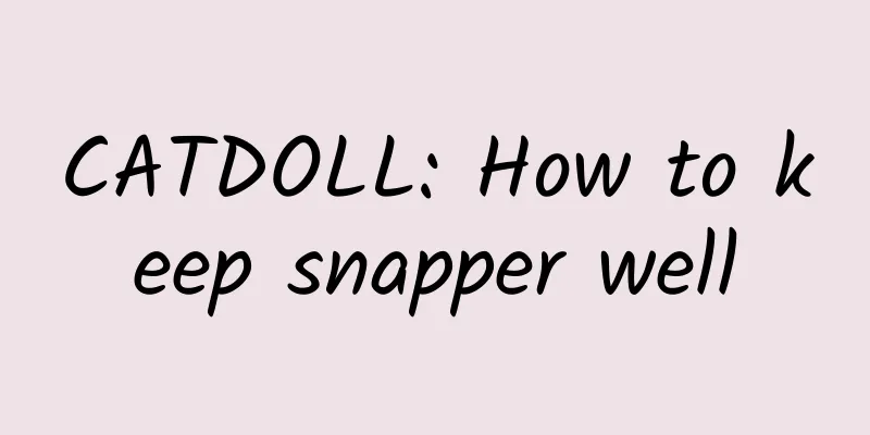 CATDOLL: How to keep snapper well
