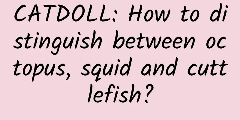 CATDOLL: How to distinguish between octopus, squid and cuttlefish?