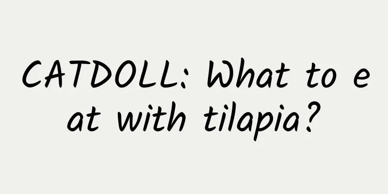 CATDOLL: What to eat with tilapia?