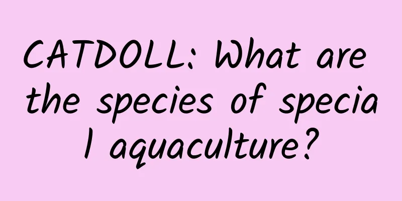 CATDOLL: What are the species of special aquaculture?