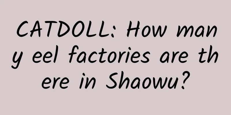 CATDOLL: How many eel factories are there in Shaowu?