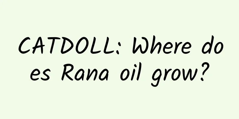 CATDOLL: Where does Rana oil grow?