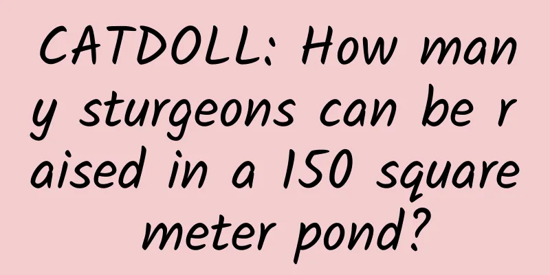 CATDOLL: How many sturgeons can be raised in a 150 square meter pond?