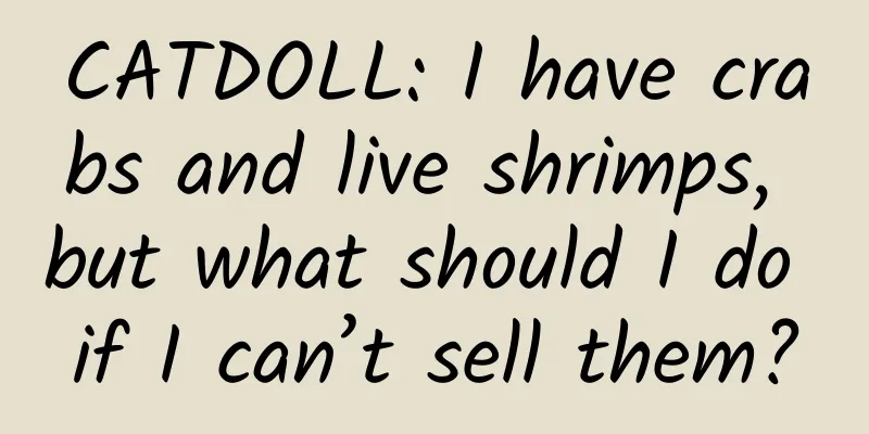 CATDOLL: I have crabs and live shrimps, but what should I do if I can’t sell them?
