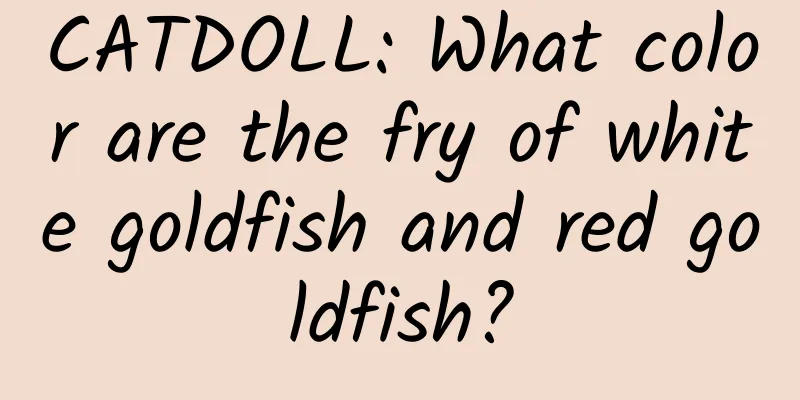 CATDOLL: What color are the fry of white goldfish and red goldfish?