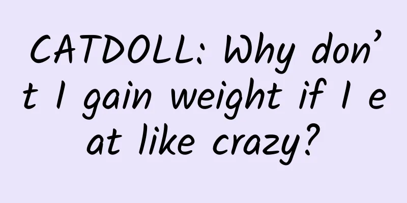 CATDOLL: Why don’t I gain weight if I eat like crazy?