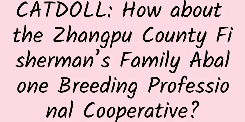 CATDOLL: How about the Zhangpu County Fisherman’s Family Abalone Breeding Professional Cooperative?