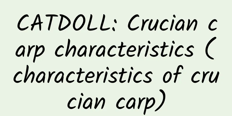 CATDOLL: Crucian carp characteristics (characteristics of crucian carp)