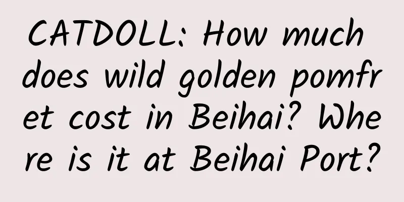 CATDOLL: How much does wild golden pomfret cost in Beihai? Where is it at Beihai Port?