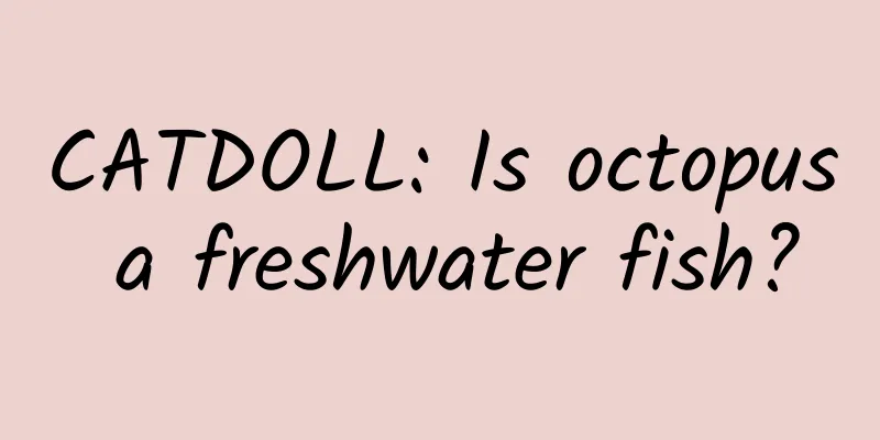 CATDOLL: Is octopus a freshwater fish?