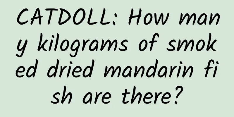 CATDOLL: How many kilograms of smoked dried mandarin fish are there?
