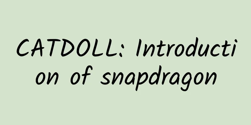 CATDOLL: Introduction of snapdragon