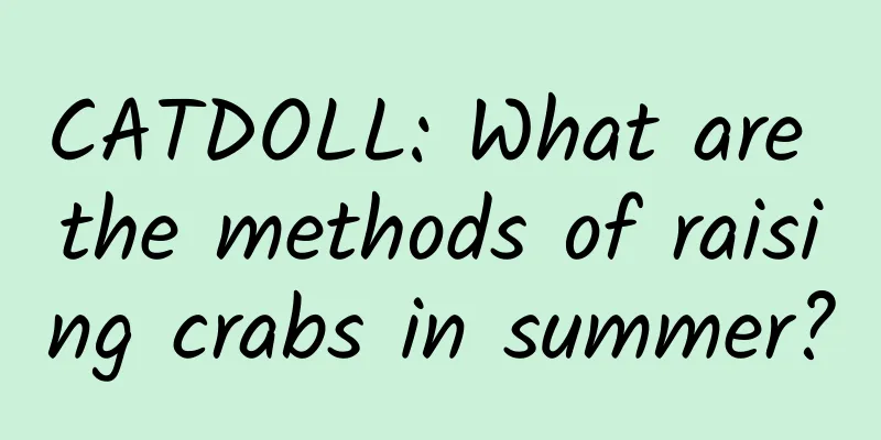 CATDOLL: What are the methods of raising crabs in summer?