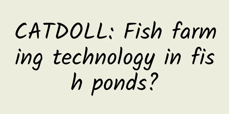 CATDOLL: Fish farming technology in fish ponds?