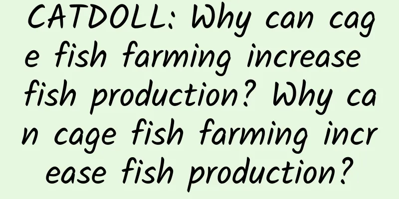 CATDOLL: Why can cage fish farming increase fish production? Why can cage fish farming increase fish production?