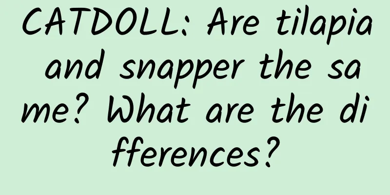 CATDOLL: Are tilapia and snapper the same? What are the differences?