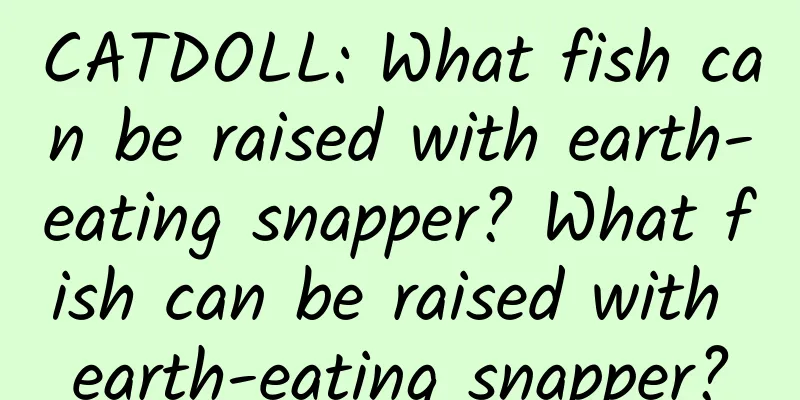 CATDOLL: What fish can be raised with earth-eating snapper? What fish can be raised with earth-eating snapper?
