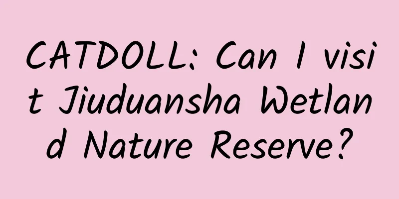 CATDOLL: Can I visit Jiuduansha Wetland Nature Reserve?