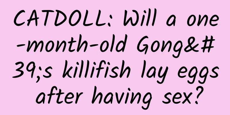 CATDOLL: Will a one-month-old Gong's killifish lay eggs after having sex?