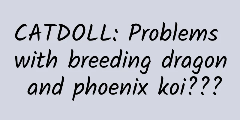 CATDOLL: Problems with breeding dragon and phoenix koi???