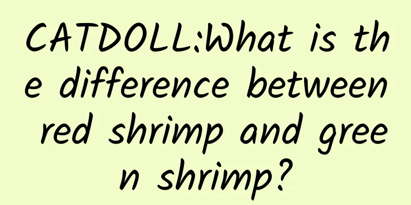CATDOLL:What is the difference between red shrimp and green shrimp?