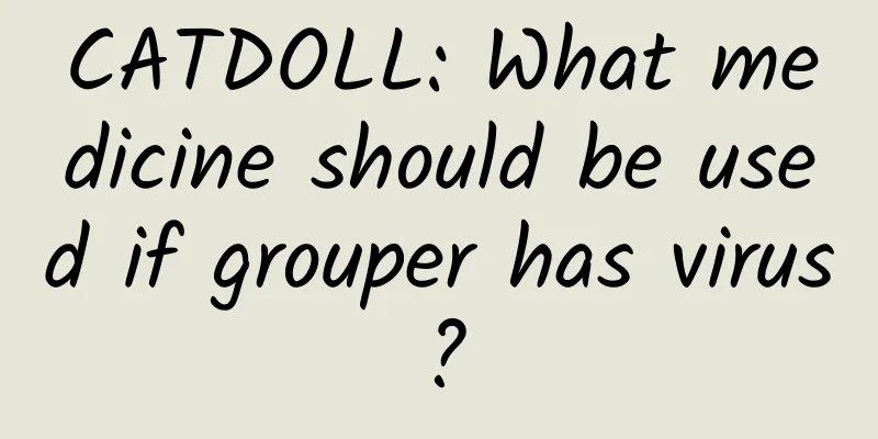 CATDOLL: What medicine should be used if grouper has virus?