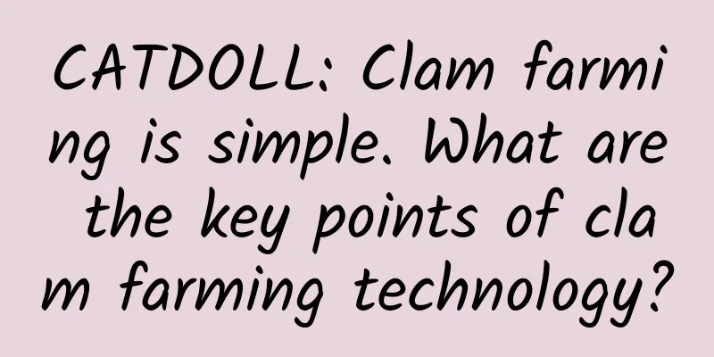 CATDOLL: Clam farming is simple. What are the key points of clam farming technology?