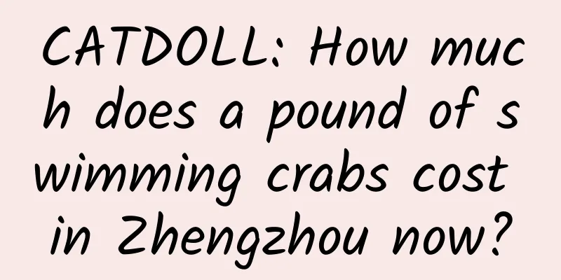 CATDOLL: How much does a pound of swimming crabs cost in Zhengzhou now?