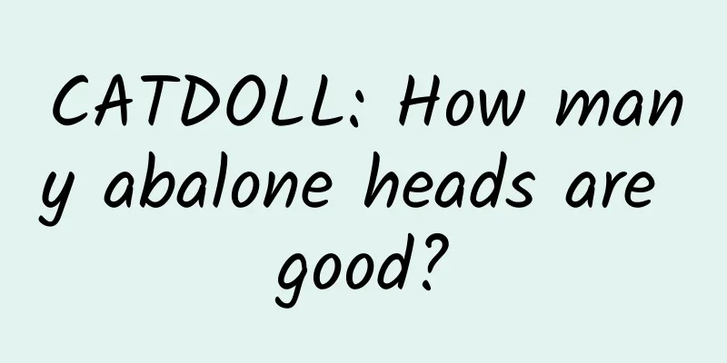 CATDOLL: How many abalone heads are good?